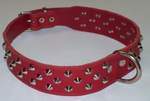 Various Dog Collars Available!