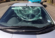 Professional Windscreens Replacement Fremantle
