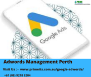 Adwords Management Perth