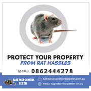 Protect Your property From Rat Hassles