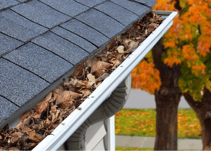Gutter Cleaners Extraordinaire: Discover a Drier,  Safer Home!