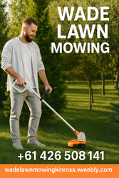 Wade Lawn Mowing: Perth’s Premier Grass Cutting Service!